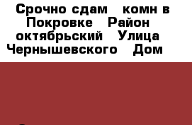 Срочно сдам 1 комн в Покровке › Район ­ октябрьский › Улица ­ Чернышевского › Дом ­ 110 › Этажность дома ­ 10 › Цена ­ 11 000 - Красноярский край, Красноярск г. Недвижимость » Квартиры аренда   